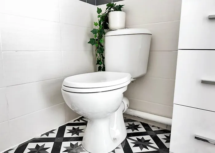 Suite Aveiro